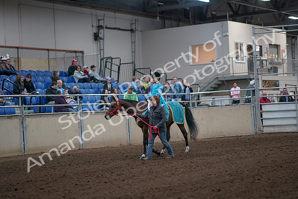 2019 Morgan Horse Show - Aug 31, 2019 - 09924