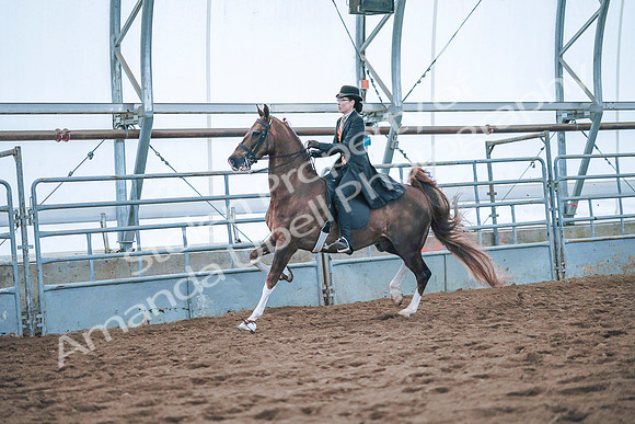 July 20, 2019 - 24132