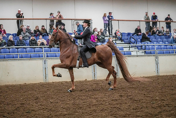 Spring Fling - Saturday - April 20, 2019  -  04111