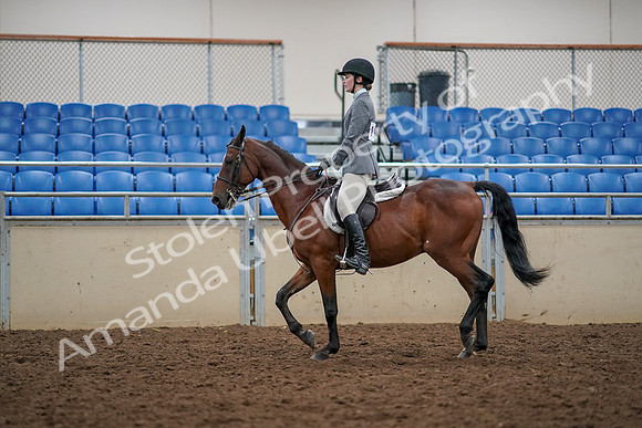 2019 Morgan Horse Show - Aug 30, 2019 - 23373