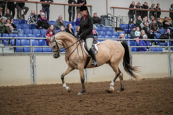 Spring Fling - Saturday - April 20, 2019  -  04592