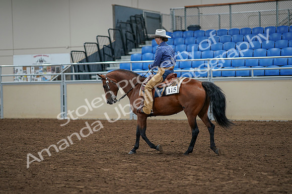 2020 - AB Morgan Horse - Fri, Sept 04 - 00182