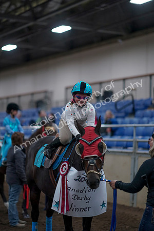 2019 Morgan Horse Show - Aug 31, 2019 - 10162