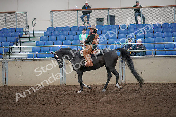 2019 Morgan Horse Show - Aug 31, 2019 - 06086