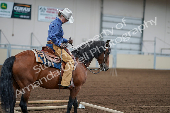 2020 - AB Morgan Horse - Fri, Sept 04 - 00146