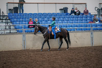 2019 Morgan Horse Show - Aug 31, 2019 - 16311
