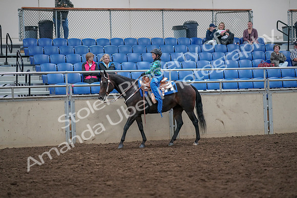 2019 Morgan Horse Show - Aug 31, 2019 - 16311