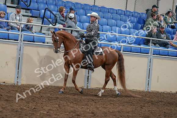 2020 - AB Morgan Horse - Sun, Sept 06 - 07496