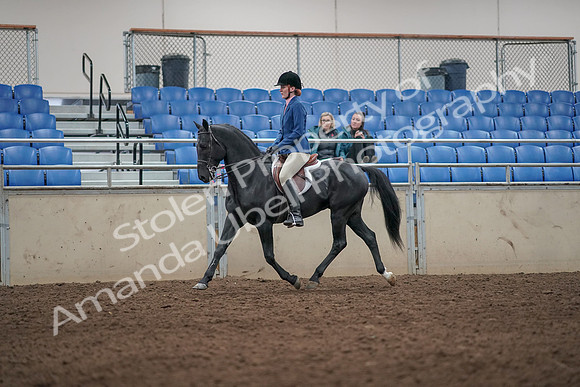 2019 Morgan Horse Show - Aug 31, 2019 - 07217