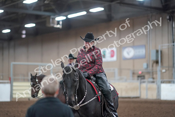 2019 Morgan Horse Show - Aug 31, 2019 - 10796
