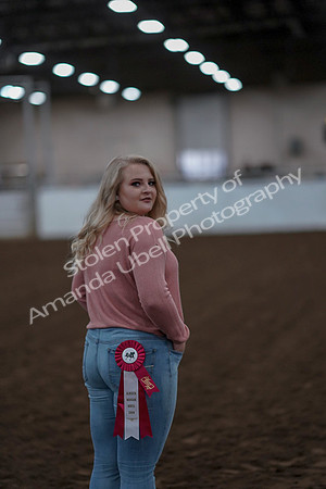 2019 Morgan Horse Show - Sept 01, 2019 - 12147