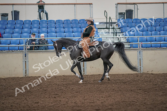 2019 Morgan Horse Show - Aug 31, 2019 - 06077