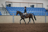2019 Morgan Horse Show - Aug 31, 2019 - 06302