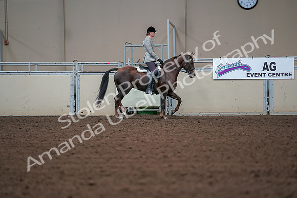 2019 Morgan Horse Show - Aug 30, 2019 - 18496