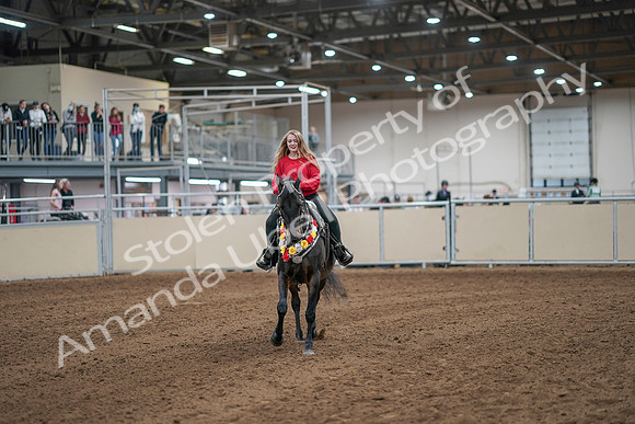 2020 - AB Morgan Horse - Sat, Sept 05 - 10532