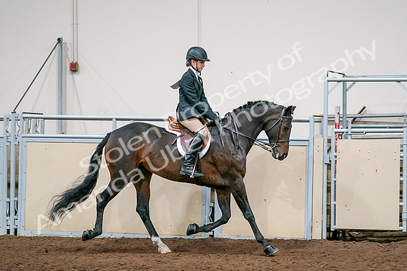 2020 - AB Morgan Horse - Sun, Sept 06 - 08090