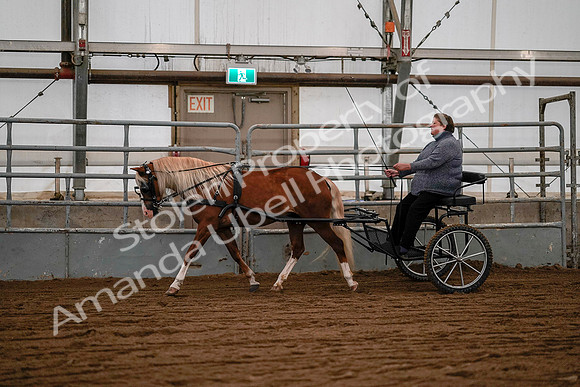 July 19, 2019 - 7070
