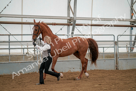 July 19, 2019 - 1346