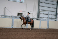 2020 - AB Morgan Horse - Fri, Sept 04 - 05709