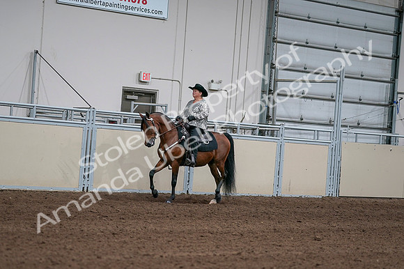 2020 - AB Morgan Horse - Fri, Sept 04 - 05709