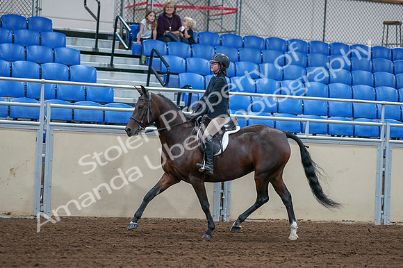 2020 - AB Morgan Horse - Fri, Sept 04 - 01507