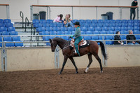 2019 Morgan Horse Show - Aug 30, 2019 - 16708