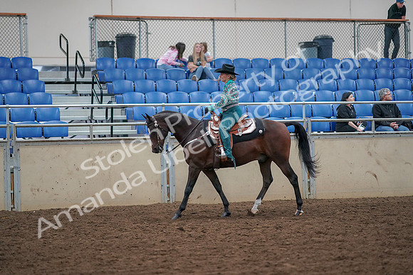 2019 Morgan Horse Show - Aug 30, 2019 - 16708