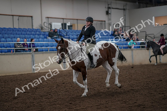 2019 Morgan Horse Show - Aug 30, 2019 - 31287