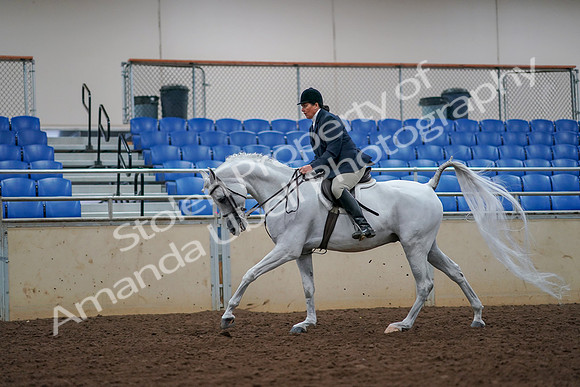 2019 Morgan Horse Show - Aug 30, 2019 - 17500