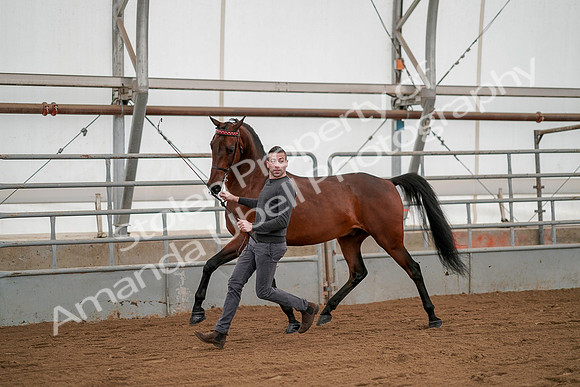 July 19, 2019 - 1187
