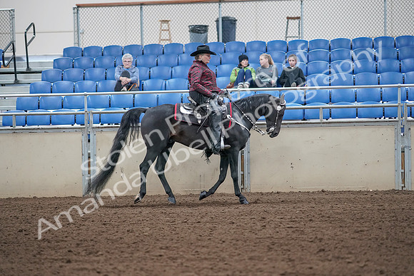 2019 Morgan Horse Show - Aug 31, 2019 - 10674