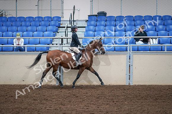 2020 - AB Morgan Horse - Fri, Sept 04 - 02194