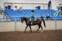 2019 Morgan Horse Show - Aug 30, 2019 - 16699