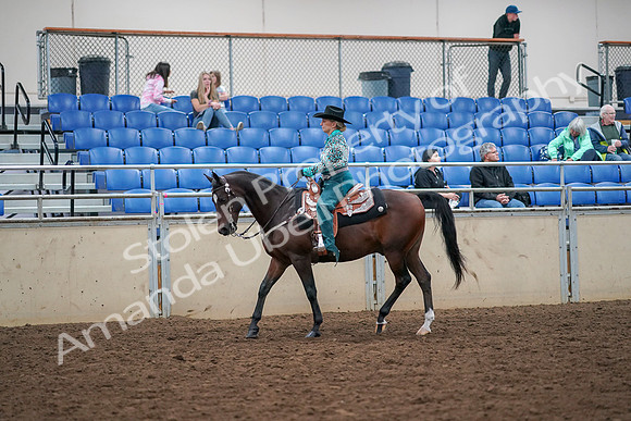 2019 Morgan Horse Show - Aug 30, 2019 - 16699
