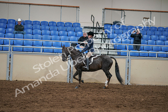 2020 - AB Morgan Horse - Sun, Sept 06 - 07757