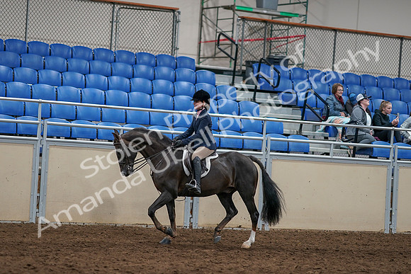 2020 - AB Morgan Horse - Sun, Sept 06 - 07955