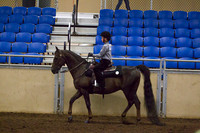 Class 157 - All Breeds Walk-Jog Western Pleasure, 11 & Under, Stake