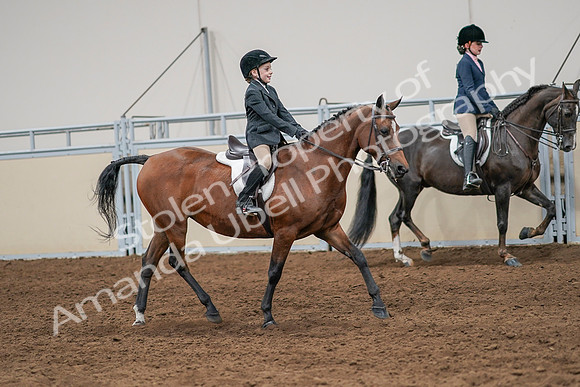 2020 - AB Morgan Horse - Sun, Sept 06 - 08005