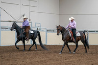 2020 - AB Morgan Horse - Sat, Sept 05 - 05652