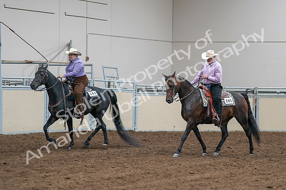 2020 - AB Morgan Horse - Sat, Sept 05 - 05652