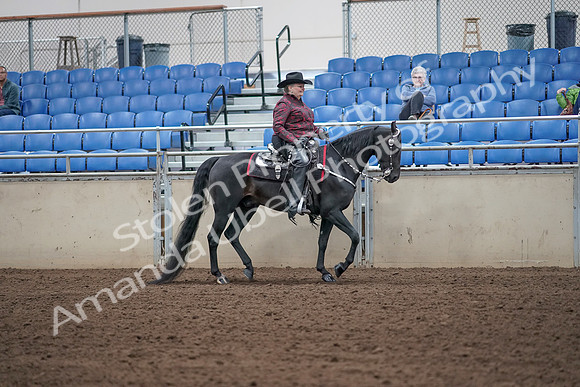 2019 Morgan Horse Show - Aug 31, 2019 - 10746