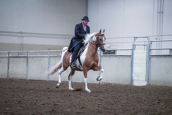 Spring Fling - Saturday - April 20, 2019  -  00806
