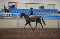 2019 Morgan Horse Show - Aug 31, 2019 - 06303