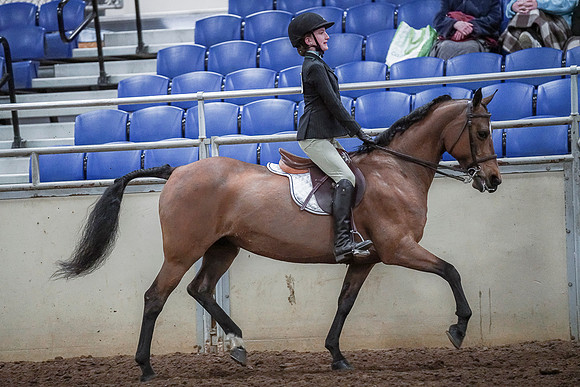 Spring Fling - Saturday - April 20, 2019  -  03843