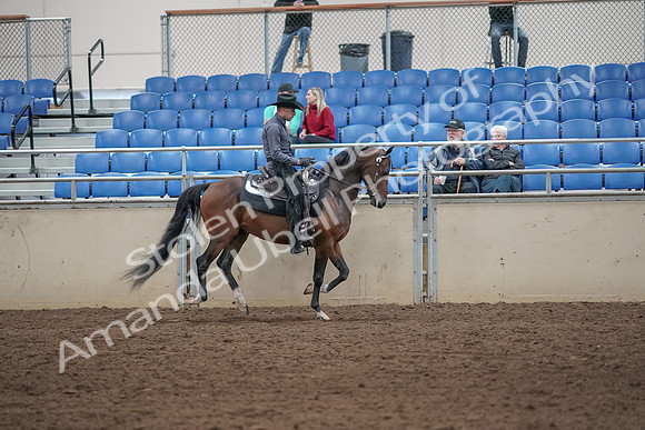 2019 Morgan Horse Show - Aug 31, 2019 - 06146
