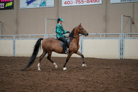 2019 Morgan Horse Show - Aug 30, 2019 - 30639