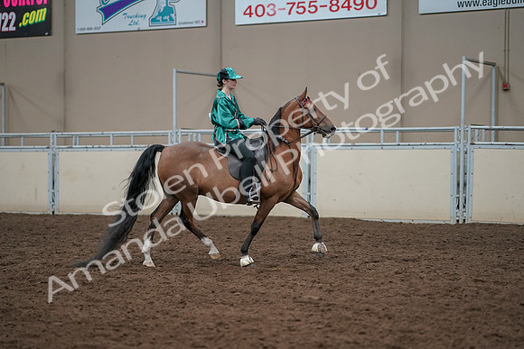 2019 Morgan Horse Show - Aug 30, 2019 - 30639