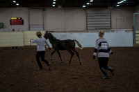 2019 Morgan Horse Show - Aug 31, 2019 - 00062