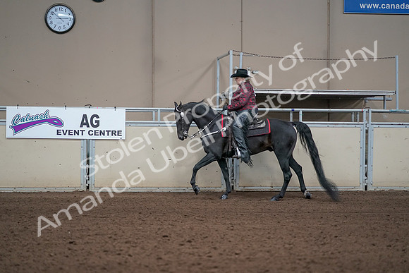 2019 Morgan Horse Show - Aug 31, 2019 - 10618