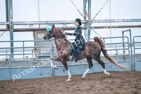 July 20, 2019 - 24050